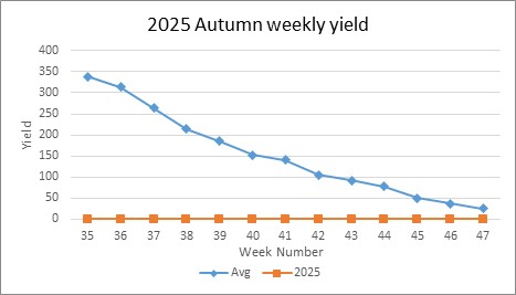 Yield per week